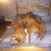 Alec Williamson - Facebook