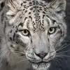alecwinters342 - @alecwinters342 - TikTok