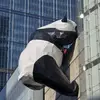 Alec Wu - @alecwu - TikTok