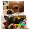 aleciastone2503 - @aleciastone2503 - TikTok