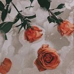 @alecia_armstrong - Instagram