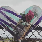 Alecia Elder Gough - @ale_gough2020 - Instagram
