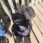 Alicia Elder Gleason - @eldergleason - Instagram