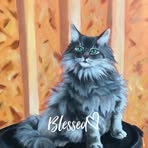 Alecia Mathis - Facebook