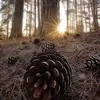 Alicia Potter - @alicia.potter29 - TikTok