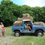 Aled Edwards - @aledthomasedwards - Instagram