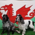 Aled Edwards - @aled.edwards.560 - Instagram