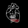 Aleem Shaikh - @aleem.shaikh1 - TikTok