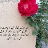 Shaikh Aleem - @shaikhaleem89 - TikTok
