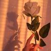 hazal - @aleena.gill19 - TikTok