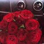 Aleena Iqbal - @aleena.iqbal27 - Instagram