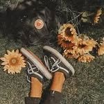 Aleena Mohammed - @aleena24678 - Instagram