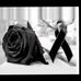 Aleida Salas - Facebook