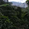 Iá mujer deı campö - @aleidasoto32 - TikTok