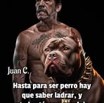Aleida Suarez - Facebook