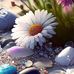 Lawer Aisha Bakkar - Facebook
