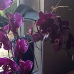 Aleja Posada - @aleja.posa - Instagram