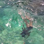 Alejandra Abraham - @alejandra.abraham.712 - Instagram