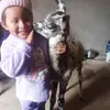 alejandralejandro2 - @alejandralejandro2 - TikTok