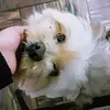 AlejandraAyon19 - @alejandraayon19 - TikTok