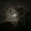 Alejandra Becerril - @alejandra_9880 - TikTok