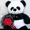 Alejandra cabello - @mariselacabello14 - TikTok