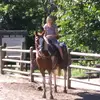 blacksnake4226 - @alexandarafinley - TikTok