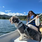 𝐴𝑙𝑒𝑗𝑎𝑛𝑑𝑟𝑎 𝐹𝑜𝑟𝑒𝑟𝑜 - @alejaquifo - Instagram