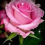 Alejandra Hernandes - @hernandes8878 - Instagram