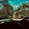 Alejandra⚜️🐢 - @alejandraposada268 - TikTok