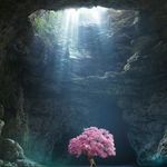 Alejandra Williams - @alejandra.williams.7927 - Instagram