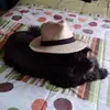 Tu madre - @alejandro.abril36 - TikTok