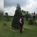 Alejandro Adame - @alejandro.adame.71 - Instagram