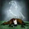 Marcos Alejandro Arg - @marcosalejandroargueta - TikTok