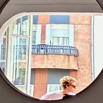 Aleco - @alejandro_arispeb - Instagram