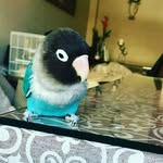 Alejandro Bailón montilla - @alejandrobailonmo - Instagram