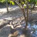 Alejandro Balboa - Facebook