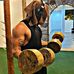 Alejandro Balboa - Facebook