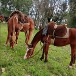 Alejandro Barceló - @alejandro.barcelo.73307 - Instagram