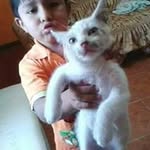 Alejandro Barreda - @alejandro.barreda.524 - Instagram