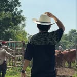 Cuervo🦦 - @alejandro_barreda - Instagram