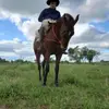 Alejandro Barreto ❤️‍🔥 - @alejandro.barreto13 - TikTok