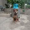 Alejandro barro - @alejandro.barro26 - TikTok