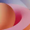 barroalejandro1 - @barroalejandro1 - TikTok