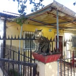 Alejandro Basso - @alejandro.basso.353 - Instagram