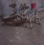 Alejandro Becker - Facebook