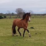 Alejandro Bondaz - @alejandro.bondaz - Instagram