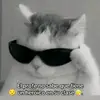 Alejandro Boneth - @alejandro.boneth - TikTok