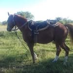 Alejandro Bordon - @alejandro.bordon.92351 - Instagram