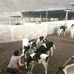 Alejandro Bordón del Rosario - @alejandrobordondelrosario - Instagram